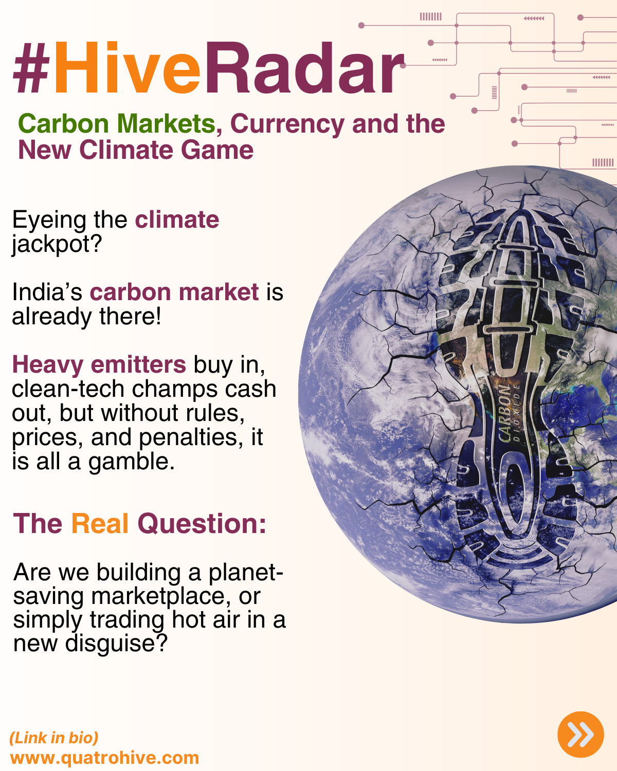 Hive Buzz - 21st August 2025 (1)