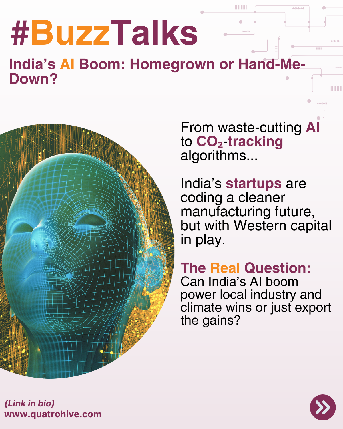 Hive Buzz - 21st August 2025 (3)