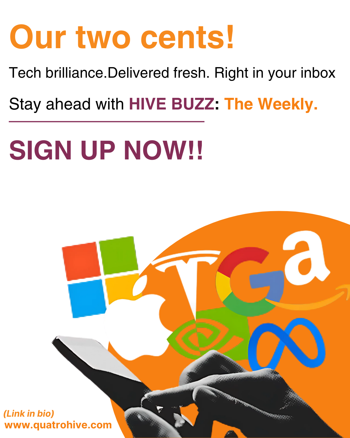 Hive Buzz - 21st August 2025 (4)