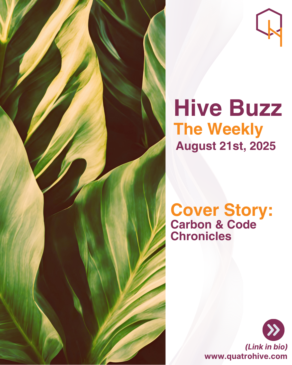 Hive Buzz - 21st August 2025
