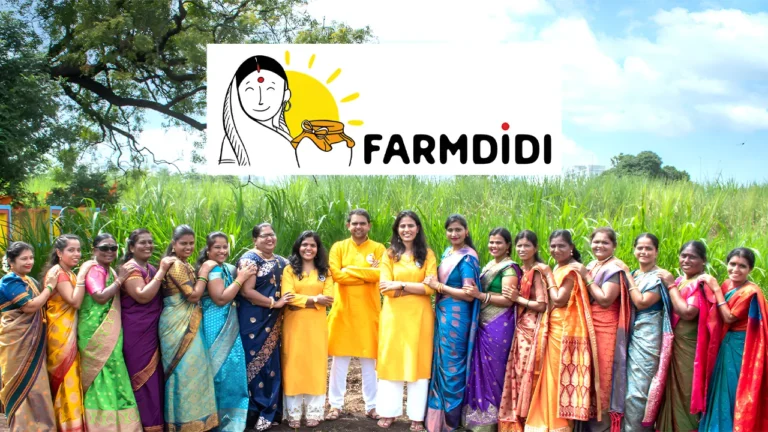 D2C pickle brand FarmDidi raises Rs 7 Cr led by Samved Ventures