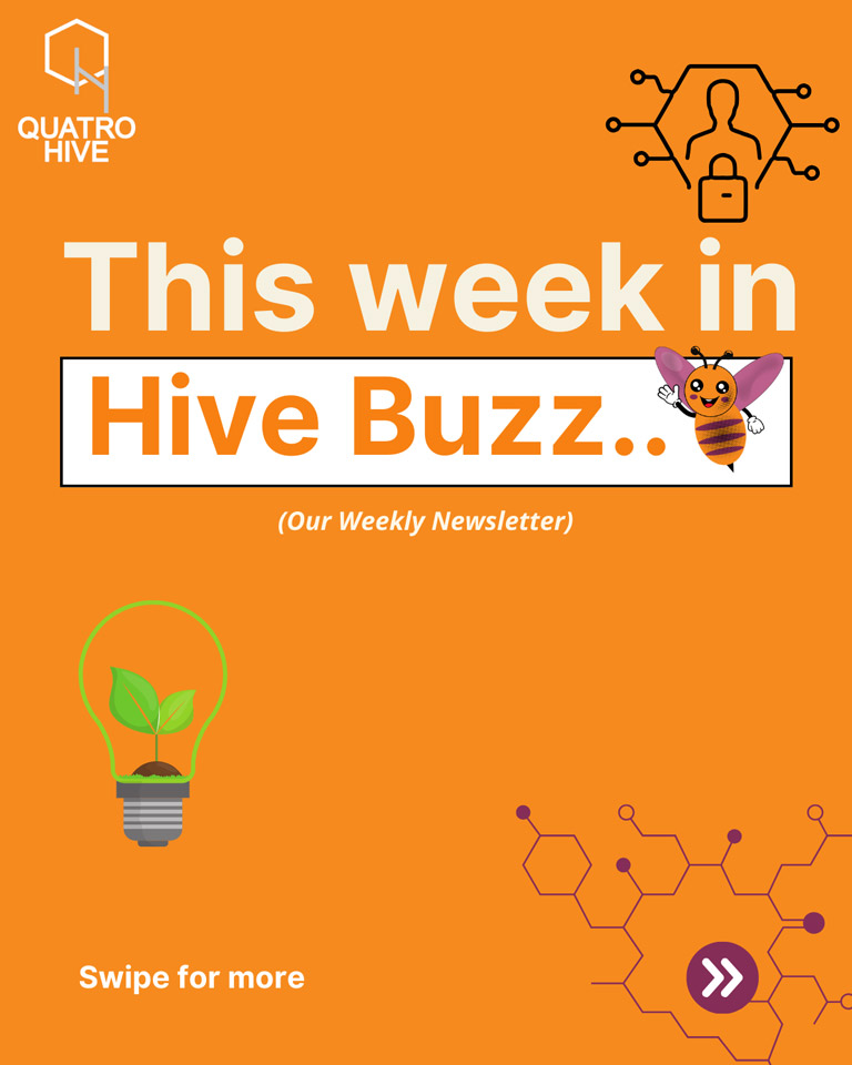 hivebuzz-28-11-2024-01