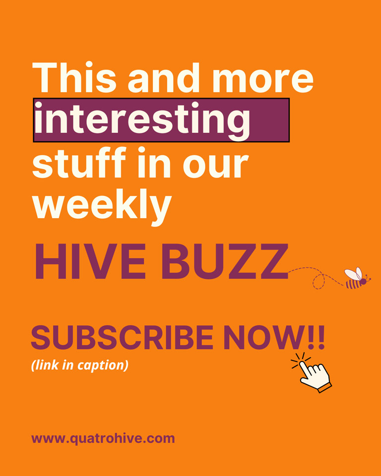 hivebuzz-28-11-2024-06